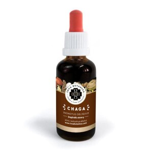 Chaga