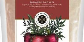 Maca červená